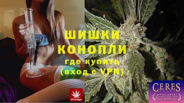 стаф Ростов
