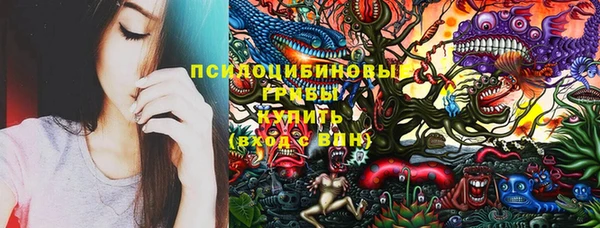 a pvp Рославль