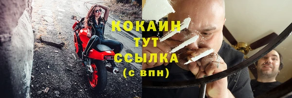 стаф Ростов