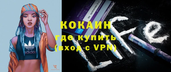 стаф Ростов