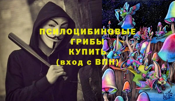 стаф Ростов