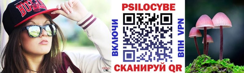 площадка состав  Ивантеевка  Псилоцибиновые грибы Magic Shrooms  наркотики 